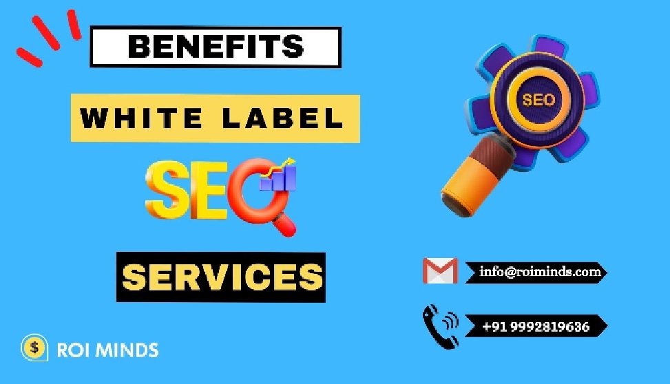 Boost Client Rankings with Professional White Label SEO Services