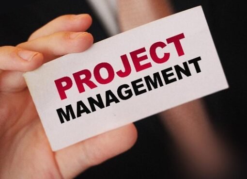 PMP vs. PgMP Certification: What's the Difference?