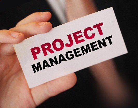 PMP vs. PgMP Certification: What's the Difference?