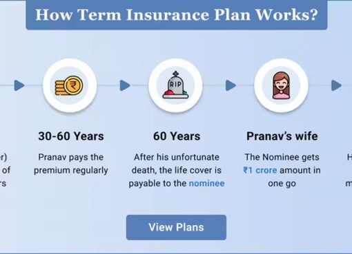 How to Identify the Best Term Insurance Plan That Fits Your Budget