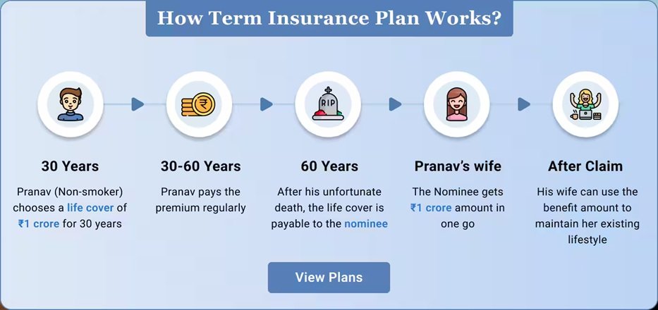 How to Identify the Best Term Insurance Plan That Fits Your Budget